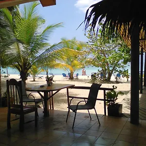 Whistling Bird Negril